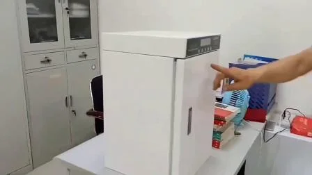 Sterilizzatore metallico Luoyang per archivi e libri Gabinetto di disinfezione con ozono