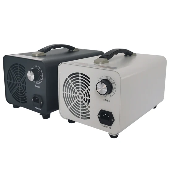 Ozonizzatore generatore di ozono portatile di alta qualità 220V 110V per aria