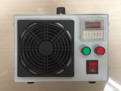 Generatore di ozono portatile 220V 20g/h per la purificazione dell'aria